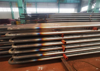 Austenitic Stainless Steel Superheater And Reheater Waste To Energy Power Plant