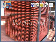Energy Saving Stainless Material Superheater And Reheater Painted Surface Treatment
