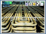 Boiler Part  Steel Superheater and Reheater for Coal-fired CFB Boilers of Thermal Power Station
